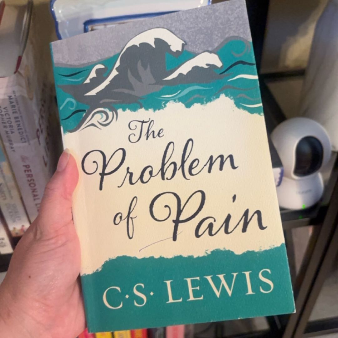 The Problem of Pain