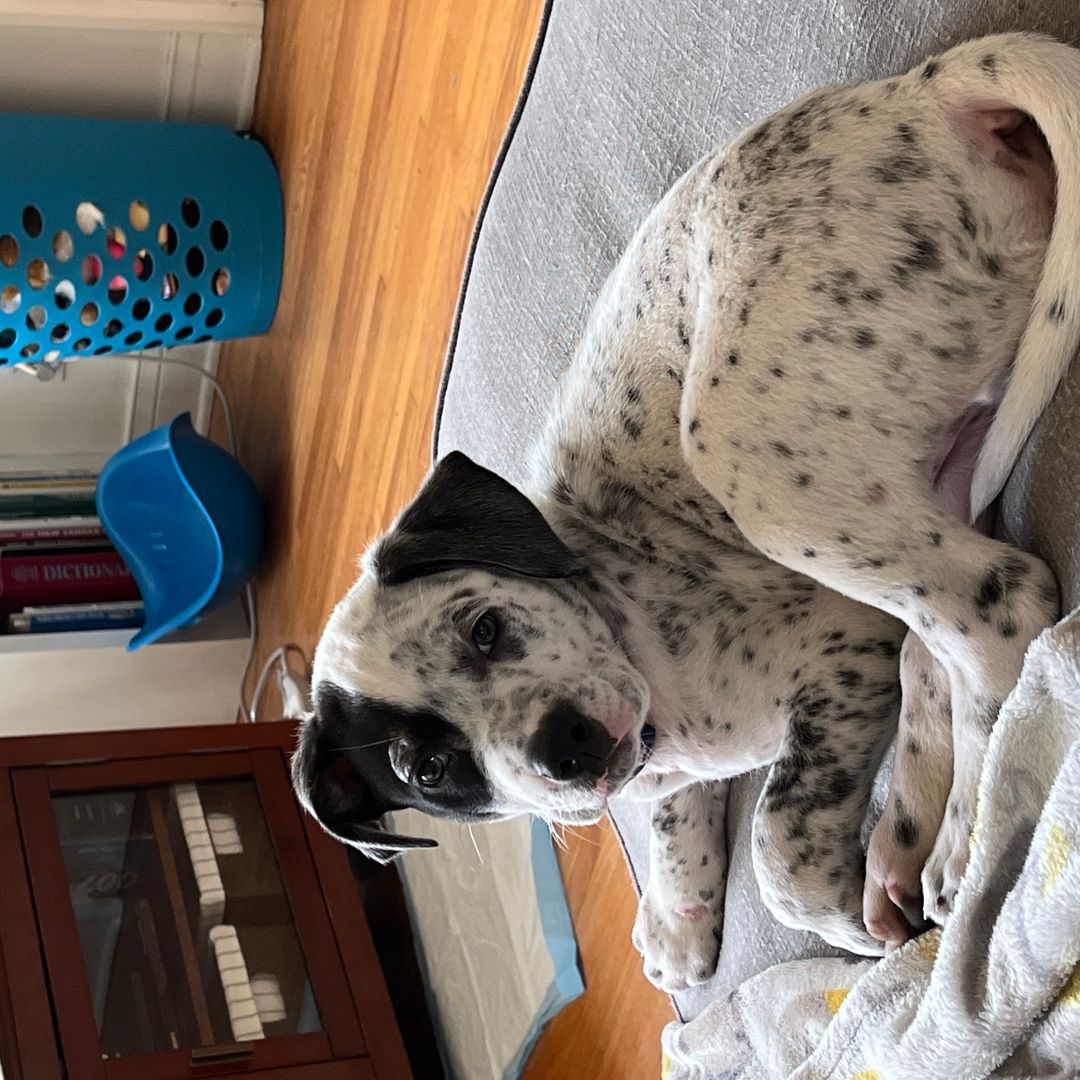 Reduce, Reuse, Re-READ