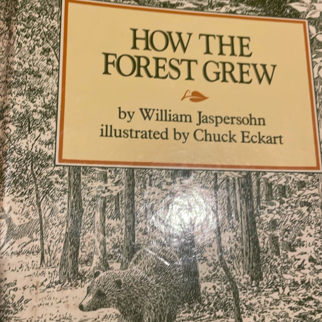 How the Forest Grew