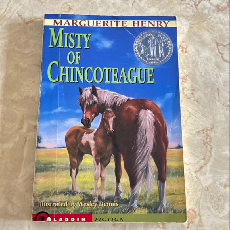 Misty of Chincoteague