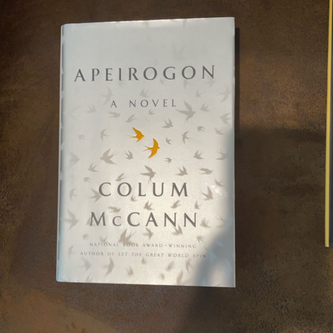 Apeirogon: a Novel
