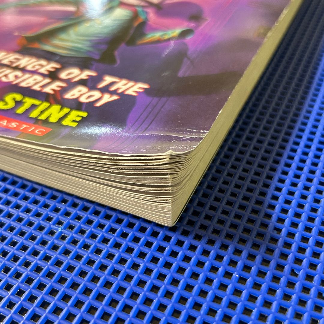 Goosebumps: Revenge of the Invisible Boy