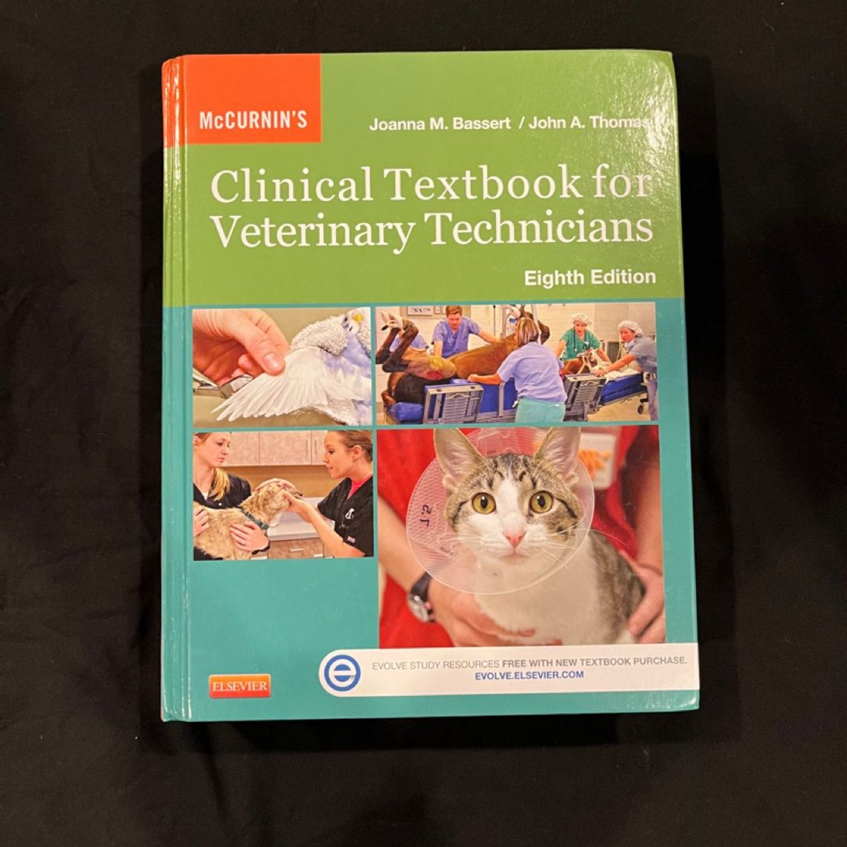 McCurnin's Clinical Textbook for Veterinary Technicians by Joanna M ...
