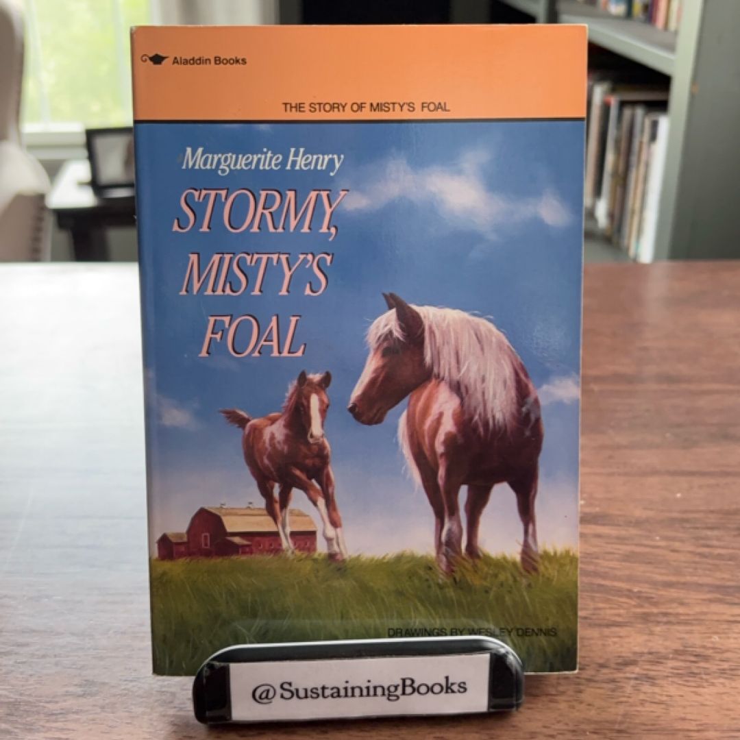 Stormy, Misty's Foal