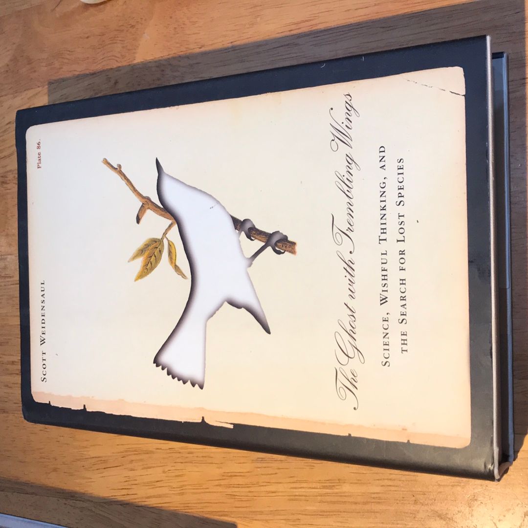 The Ghost with Trembling Wings