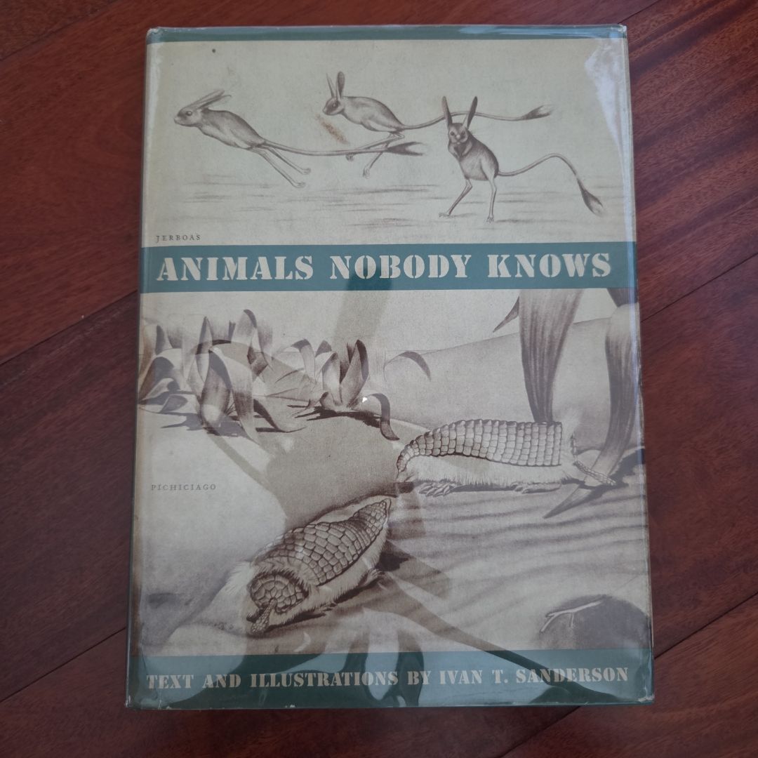 Animals Nobody Knows