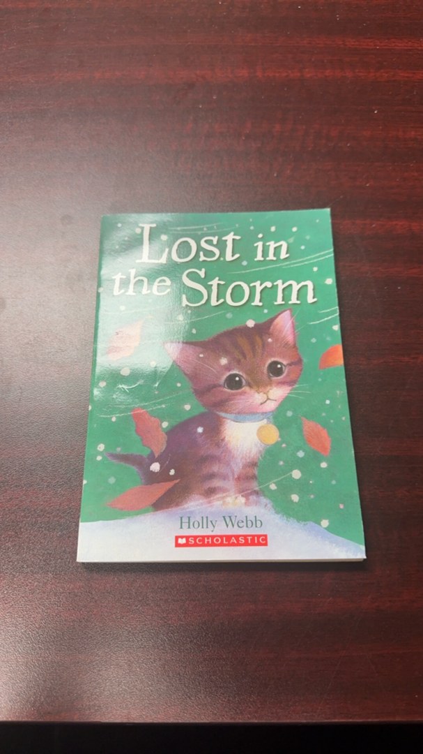 Lost in the Storm