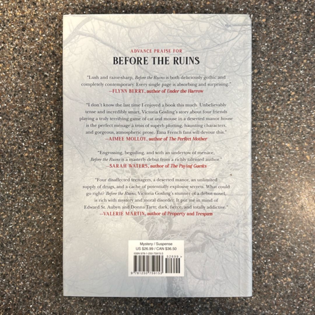 Before the Ruins