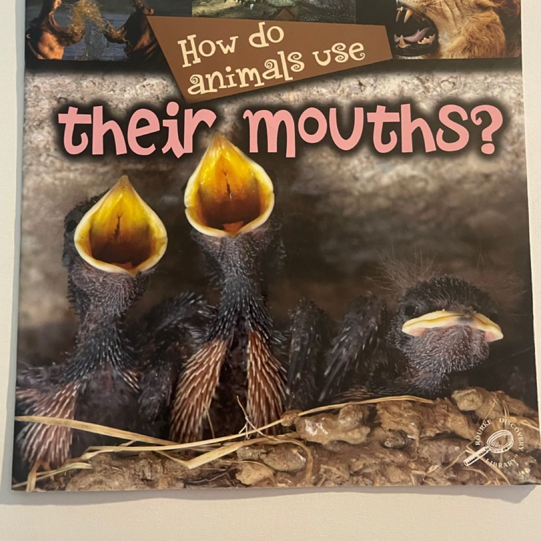How Do Animals Use... Their Mouths?