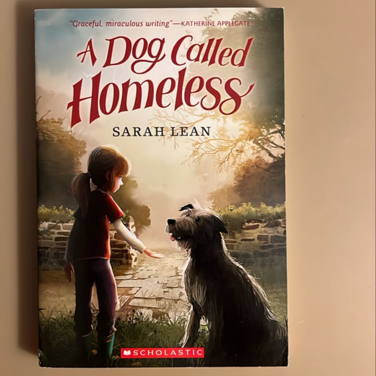 A Dog Called Homeless by Sarah Lean, Paperback | Pangobooks