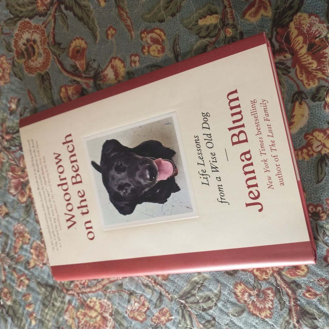 Woodrow on the Bench