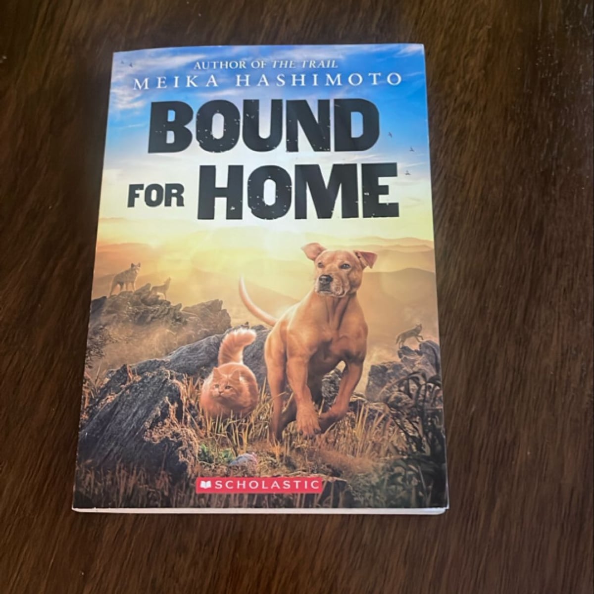 Bound for Home by Meika Hashimoto
