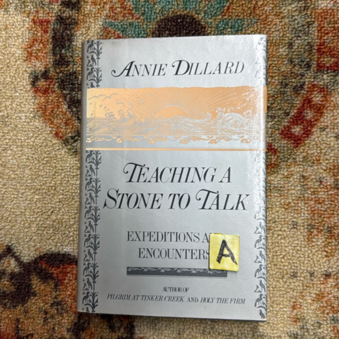 Teaching a Stone to Talk