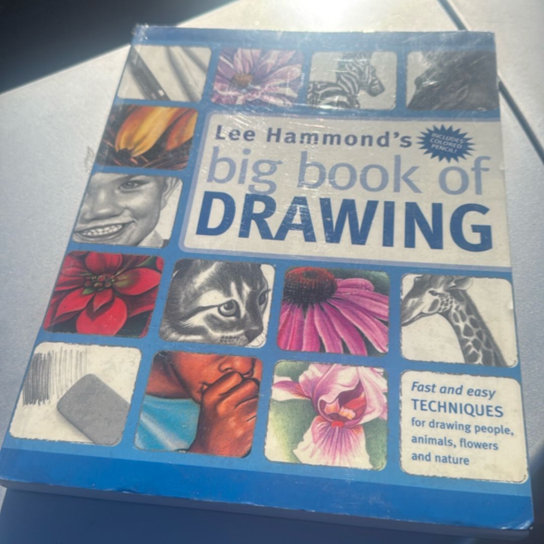 Big Book of Drawing