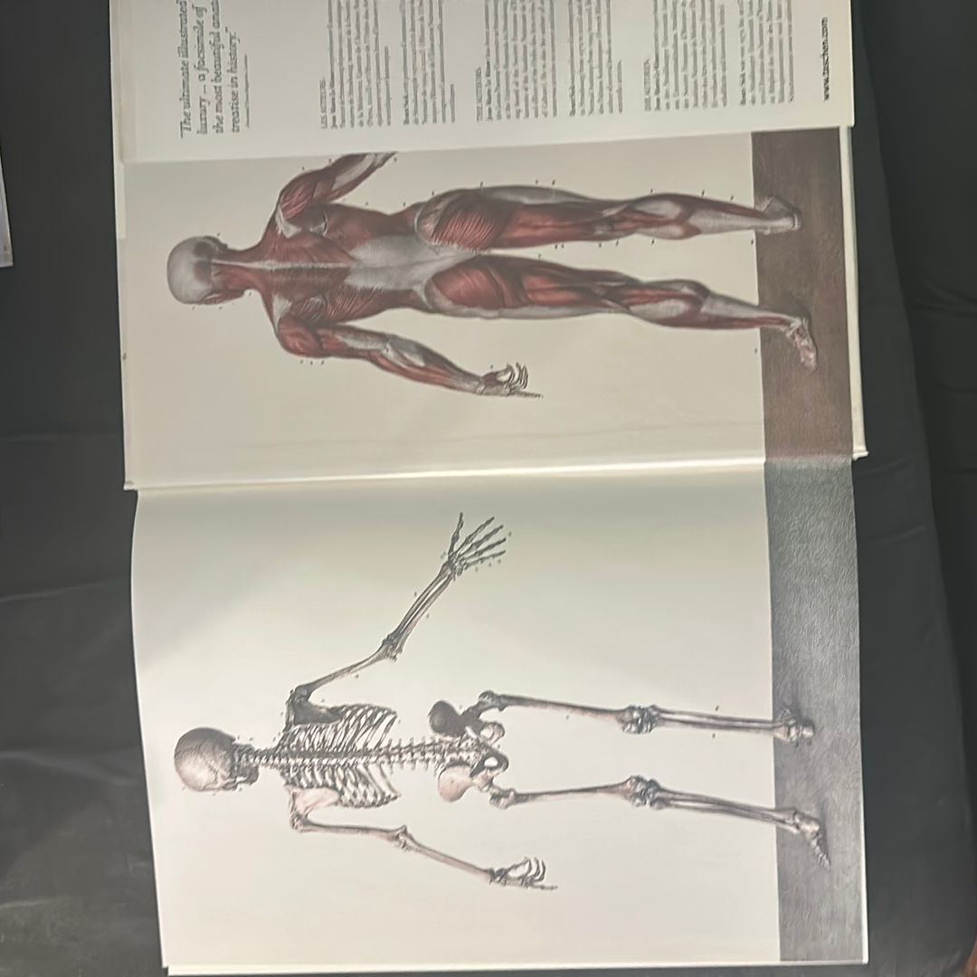 Atlas of Human Anatomy and Surgery Volume 1 by | PangoBooks