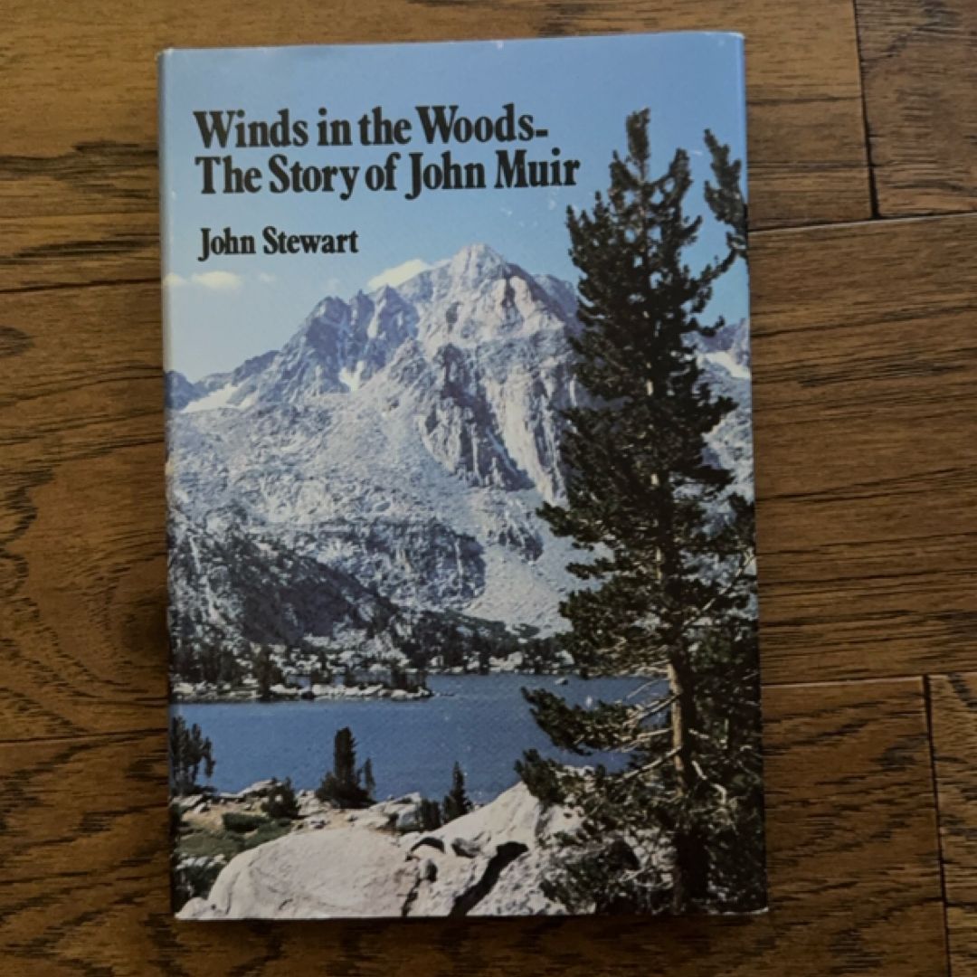 Winds in the Woods