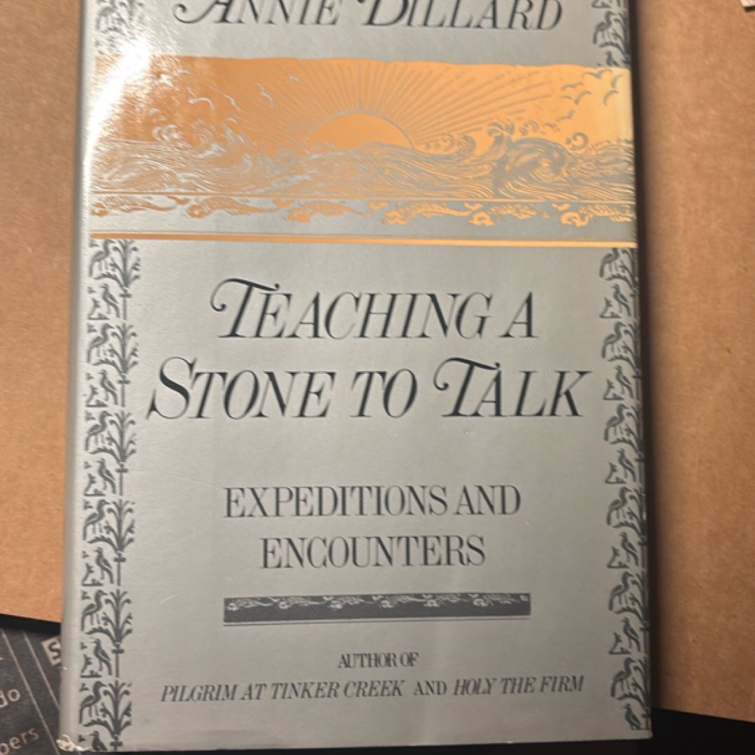 Teaching a Stone to Talk