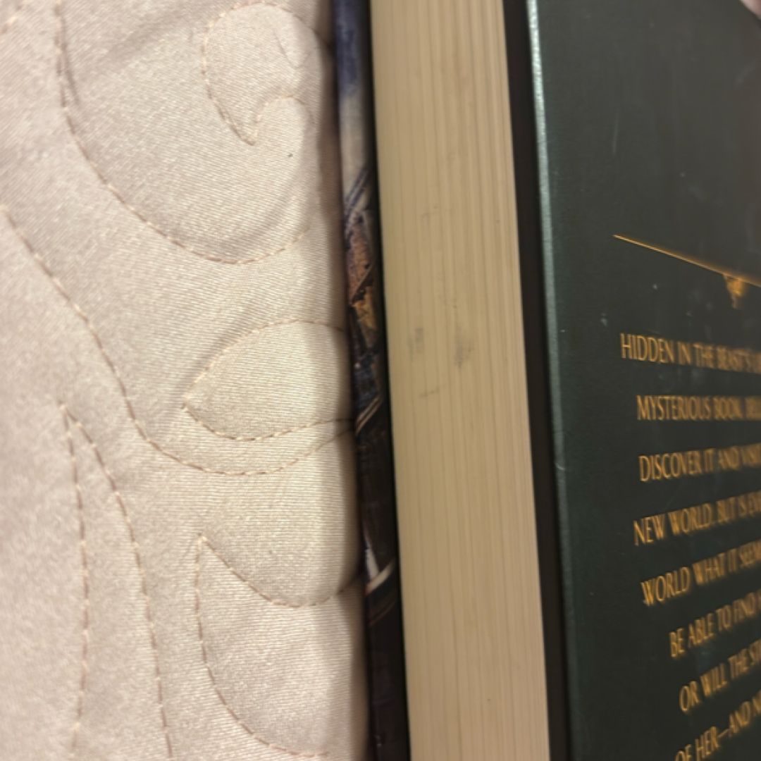 Beauty and the Beast: Lost in a Book