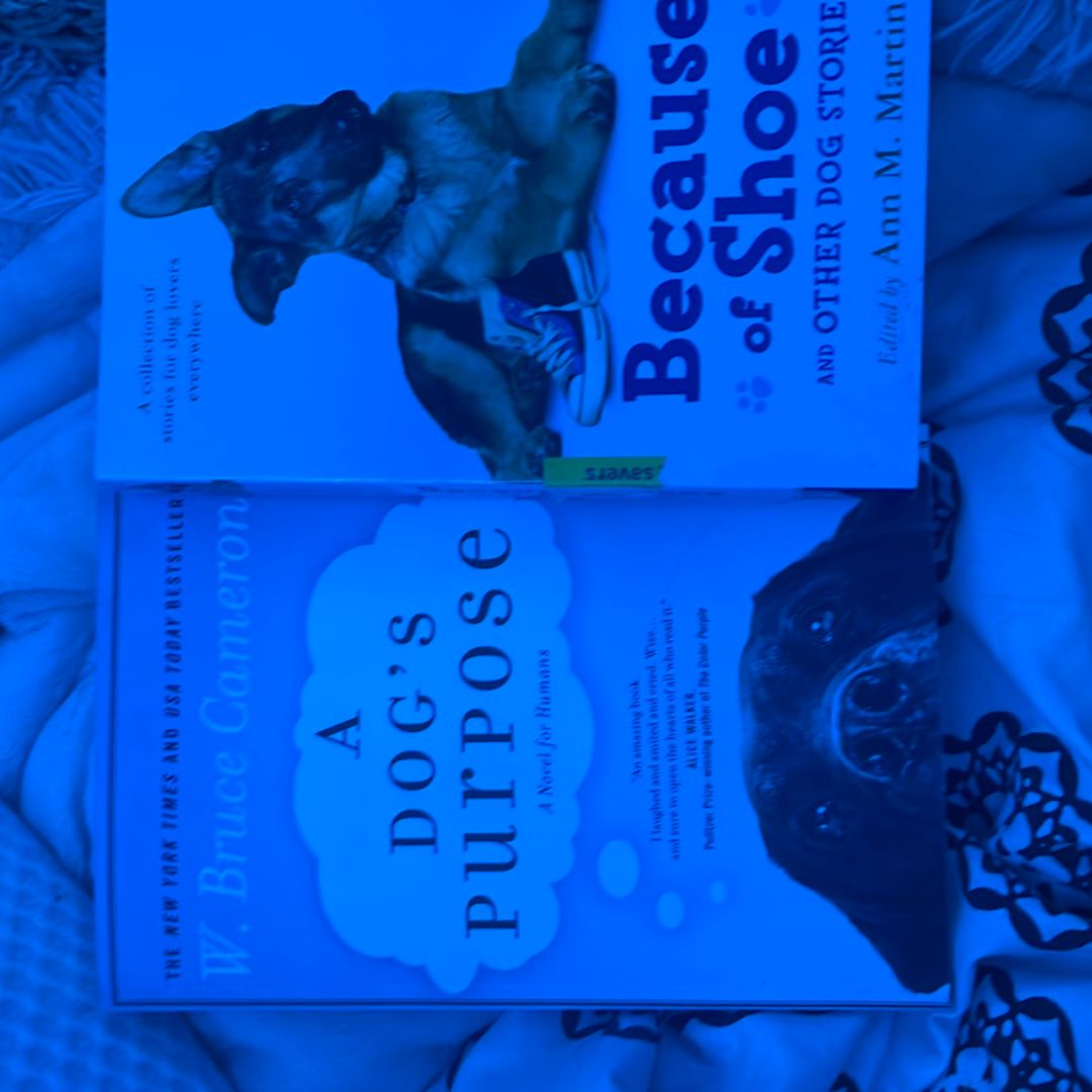 A Dog's Purpose and because of shoe