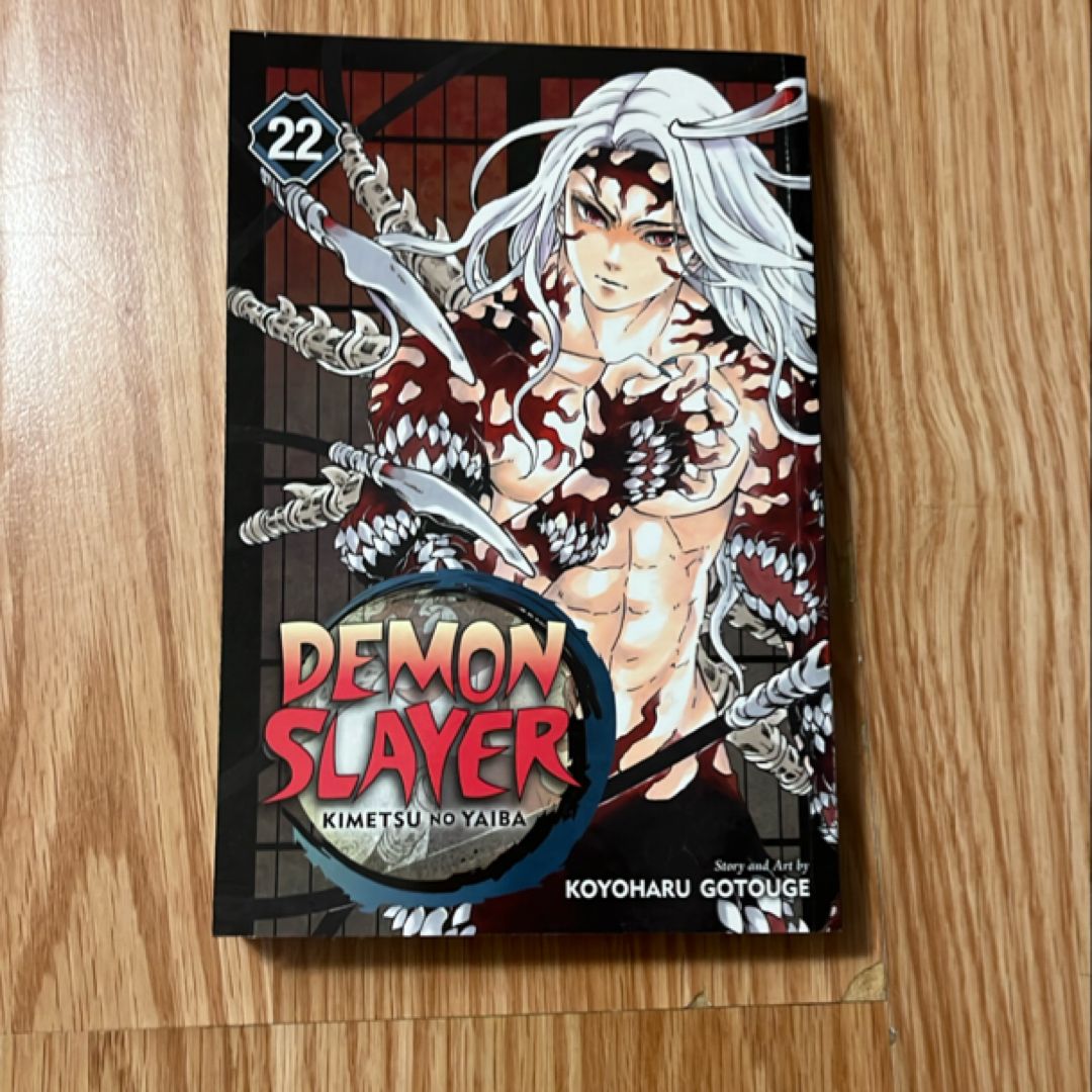 Demon Slayer: Kimetsu No Yaiba, Vol. 22