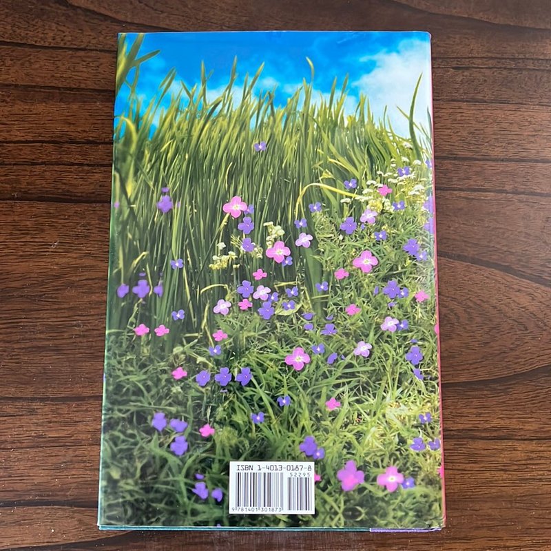 If You Could See Me Now