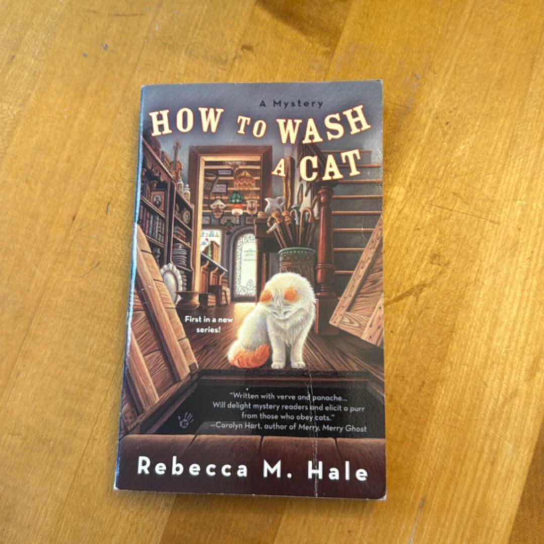 How to Wash a Cat