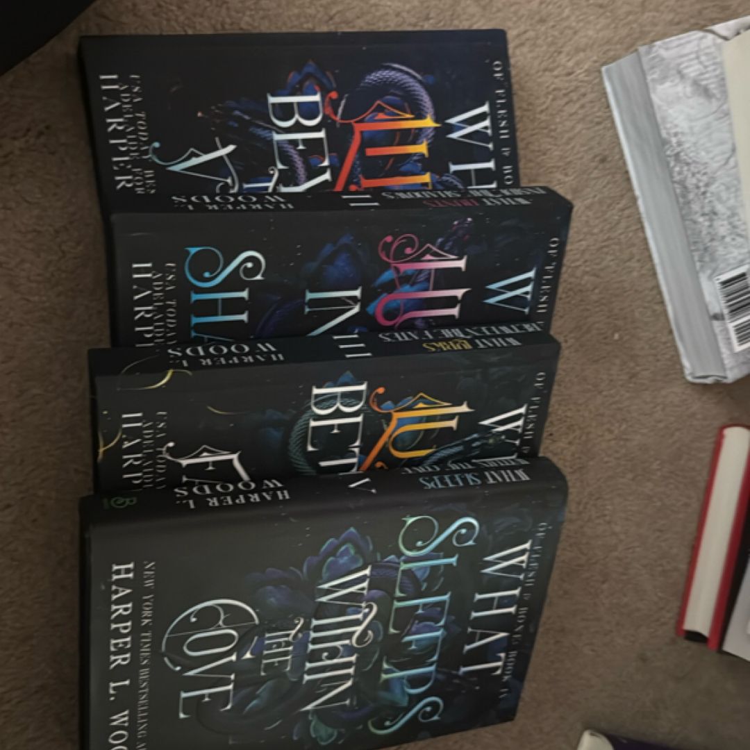 What Lies Beyond the Veil (Of Flesh & Bone Series)