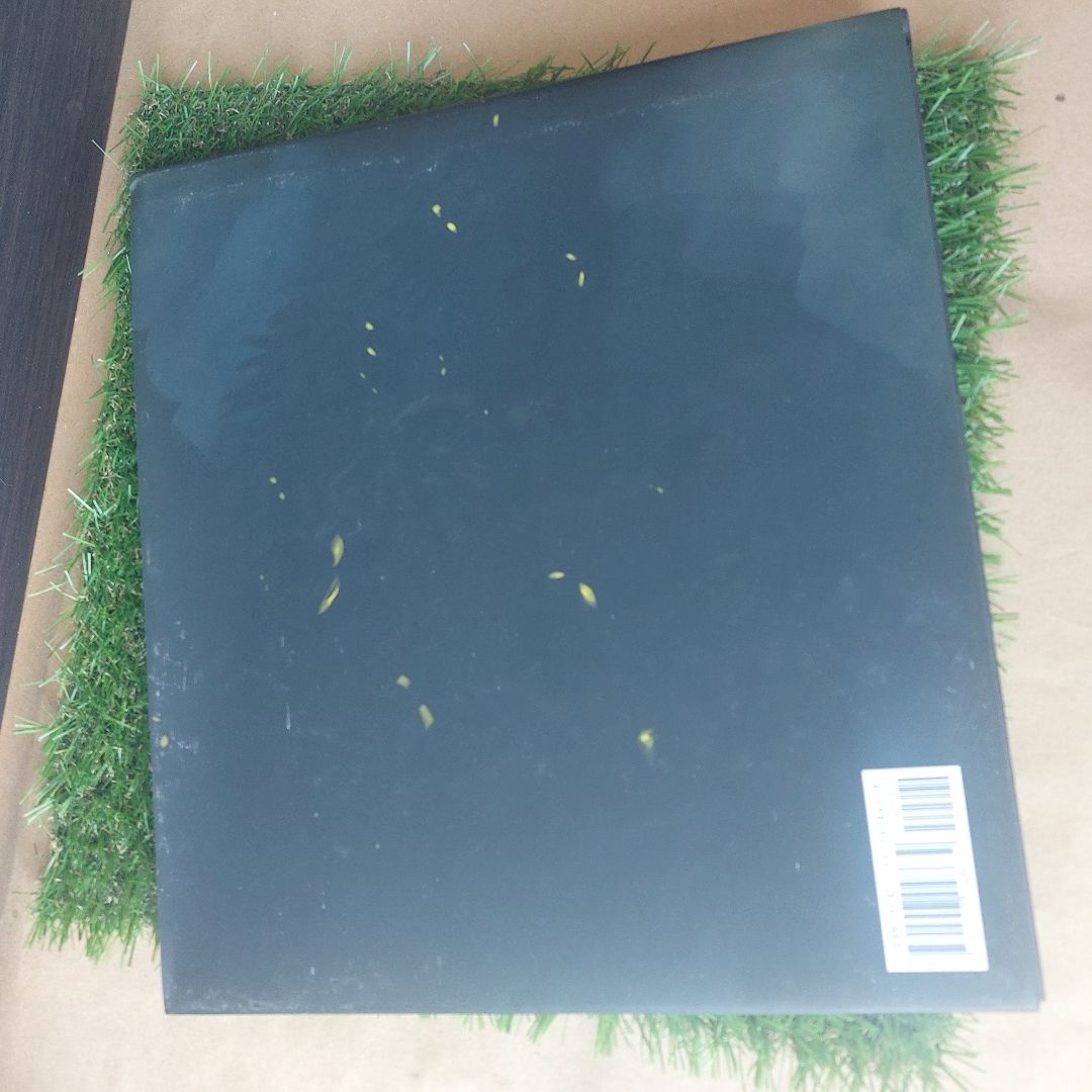 The Art of How to Train Your Dragon