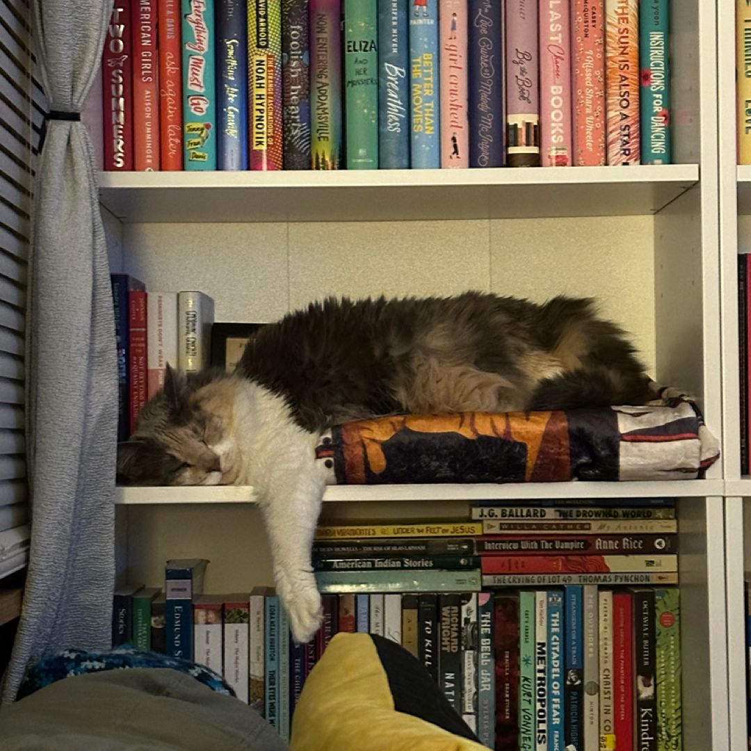 Jenna’s Bookshelf