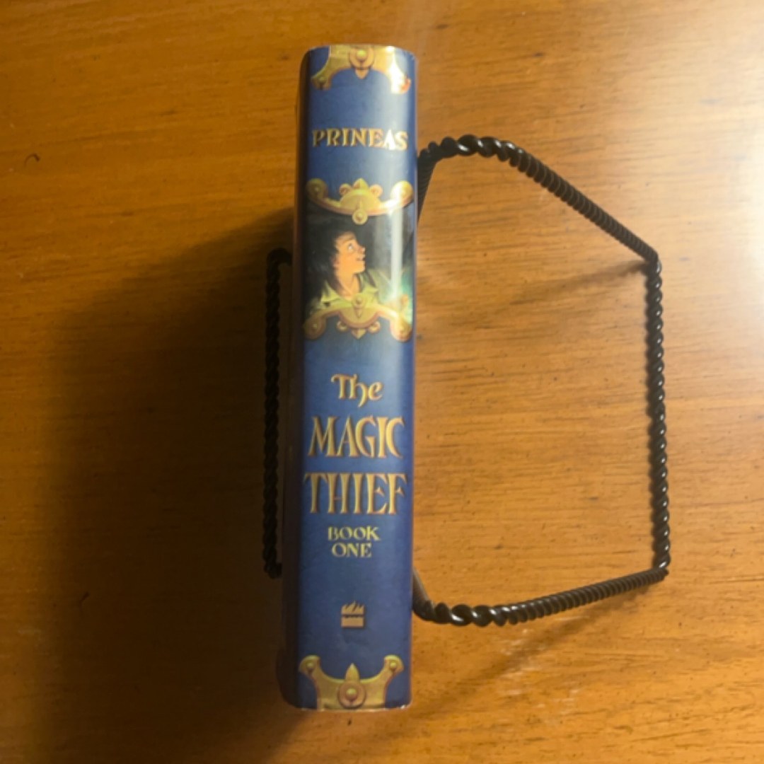 The Magic Thief