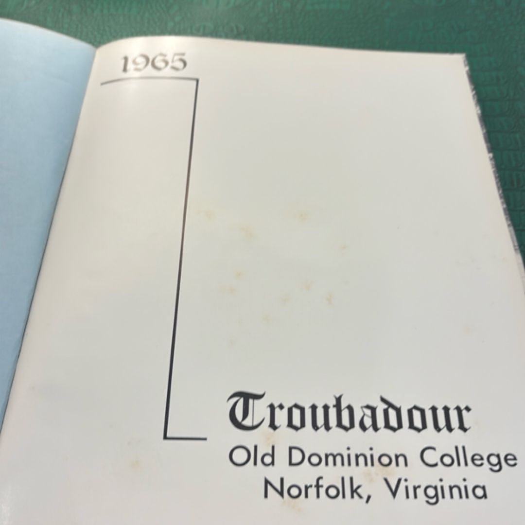 The Troubadour