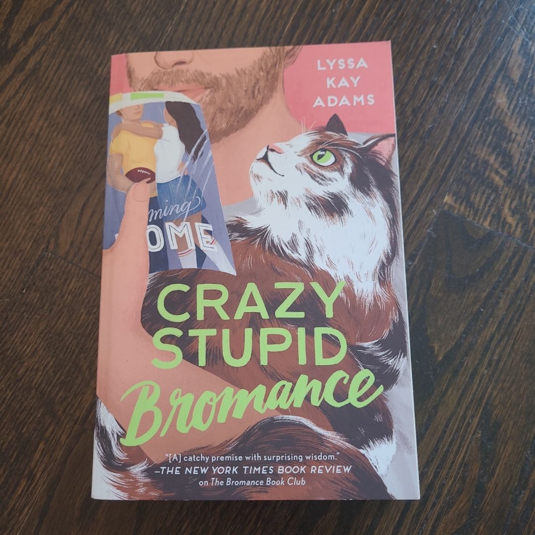 Crazy Stupid Bromance