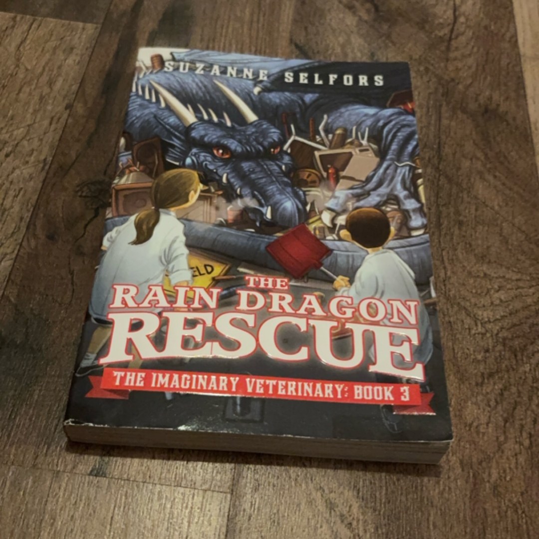 The Rain Dragon Rescue