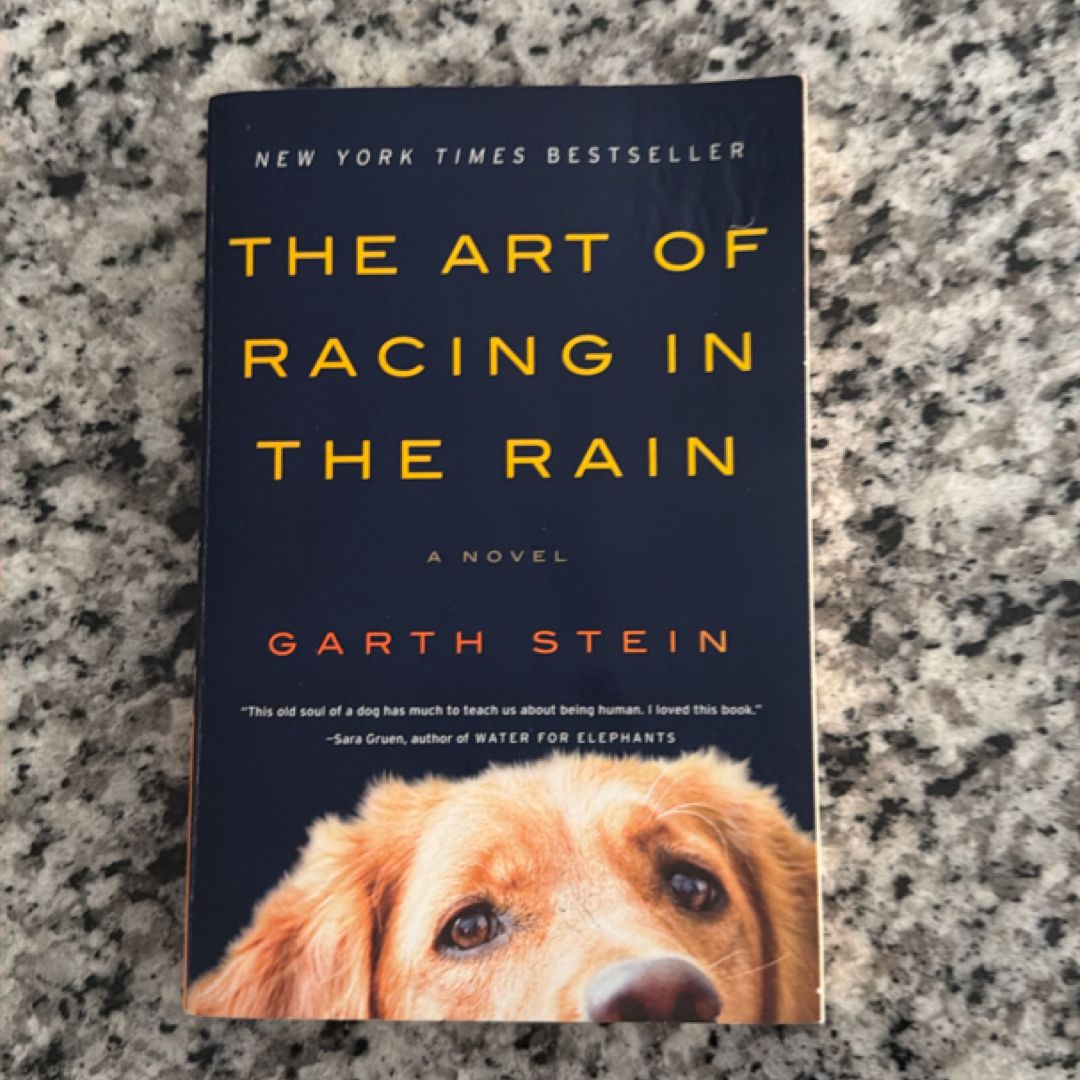 The Art of Racing in the Rain