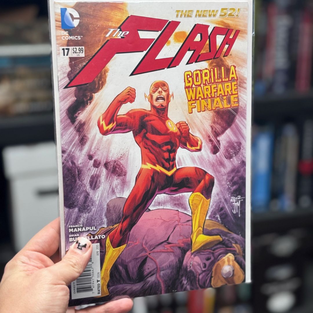 The Flash #17