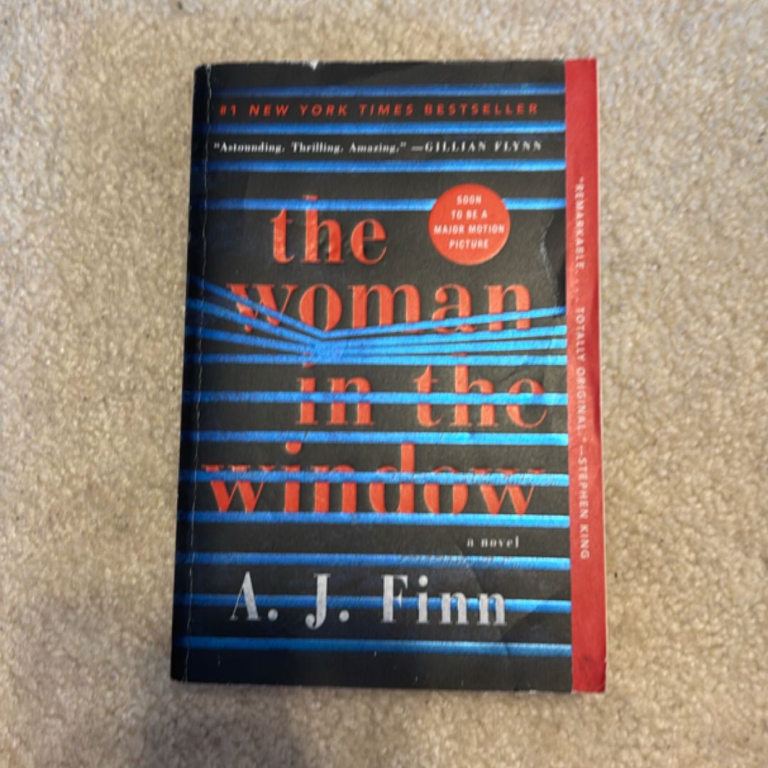 The Woman in the Window