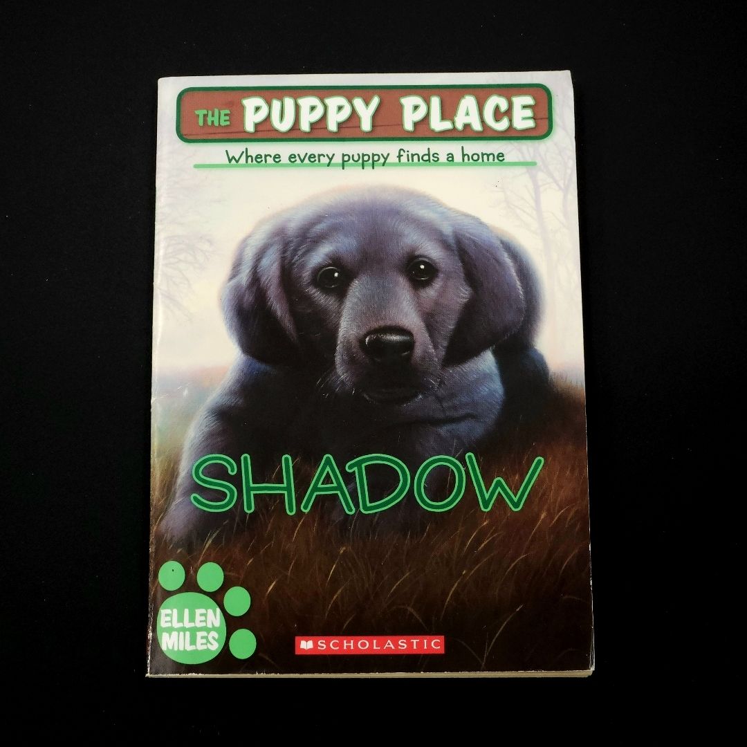 Shadow