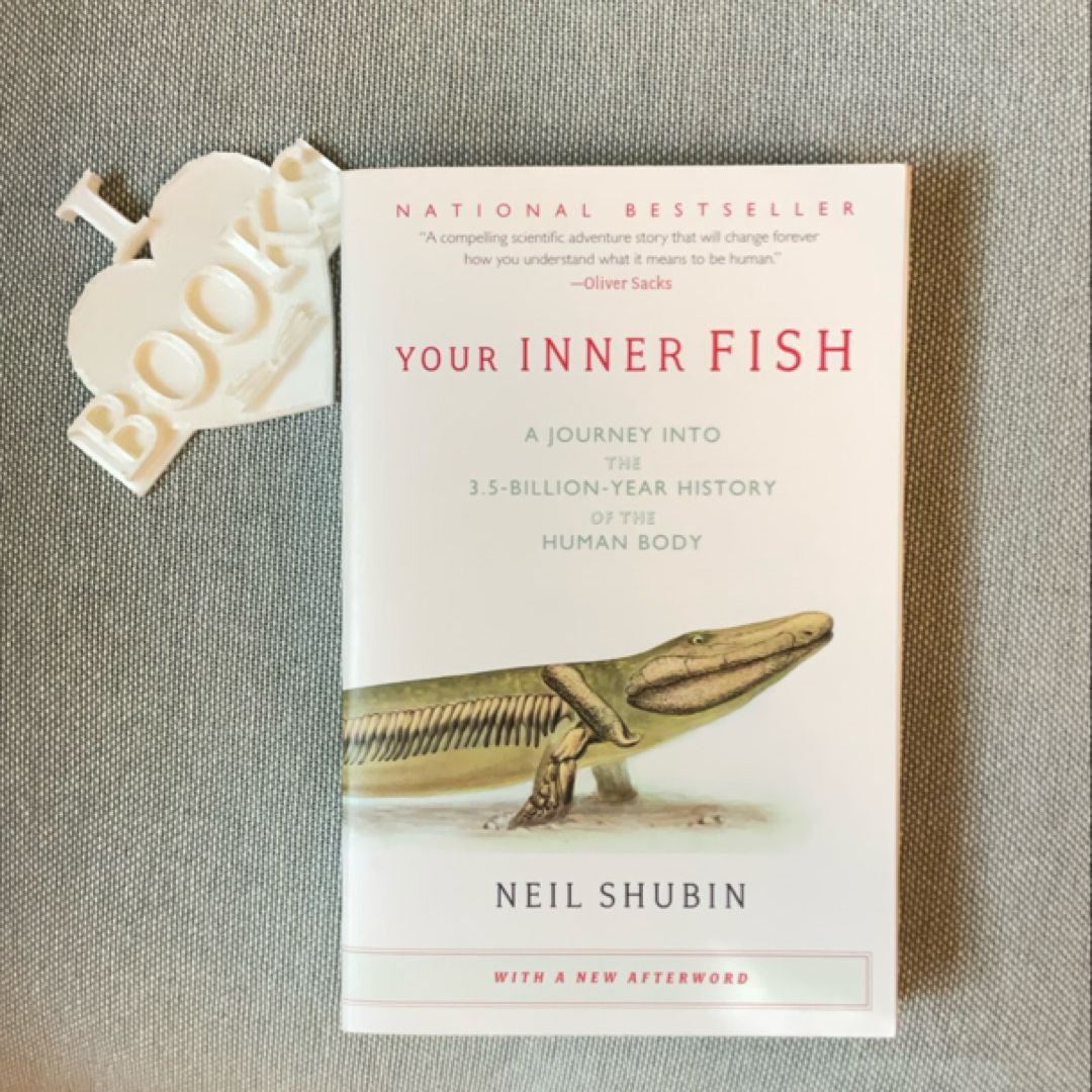 Your Inner Fish