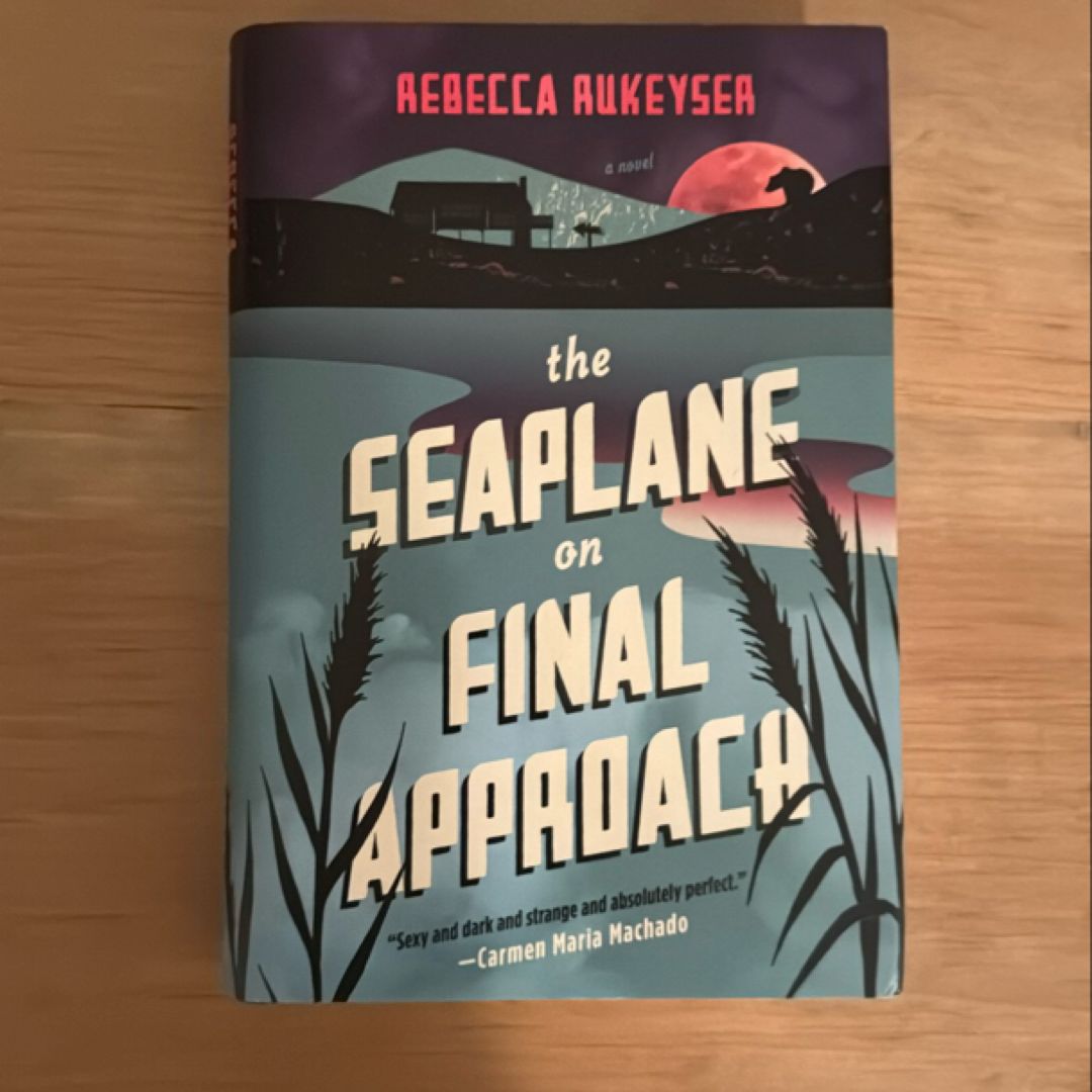 The Seaplane on Final Approach