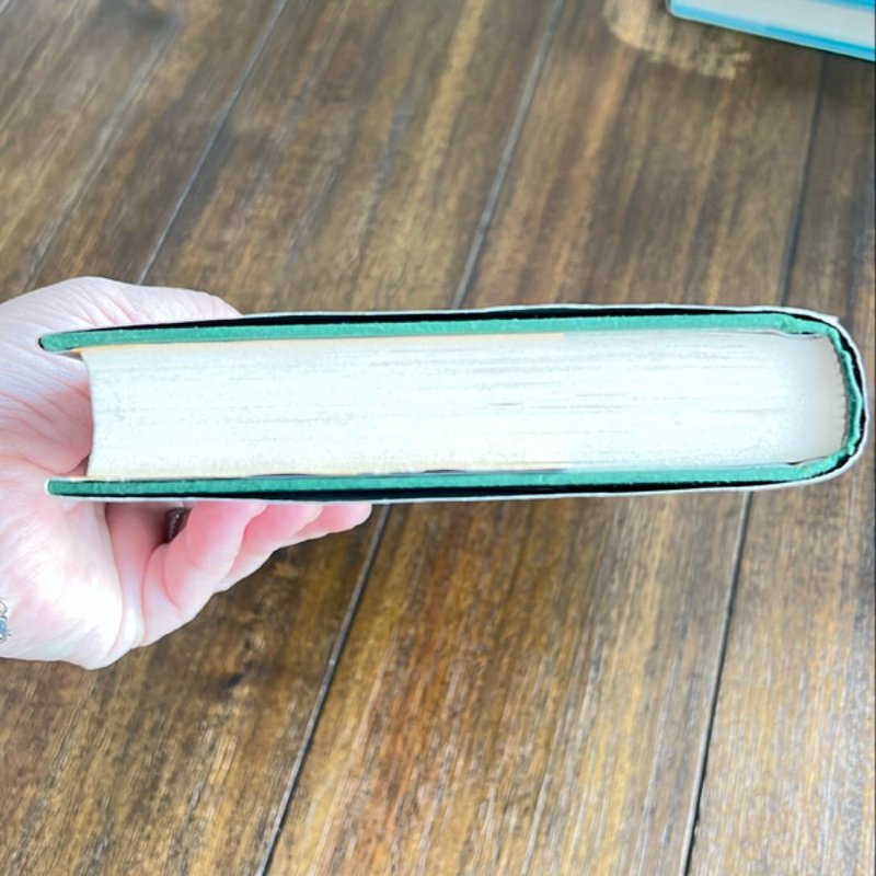 Warriors: a Vision of Shadows #6: the Raging Storm