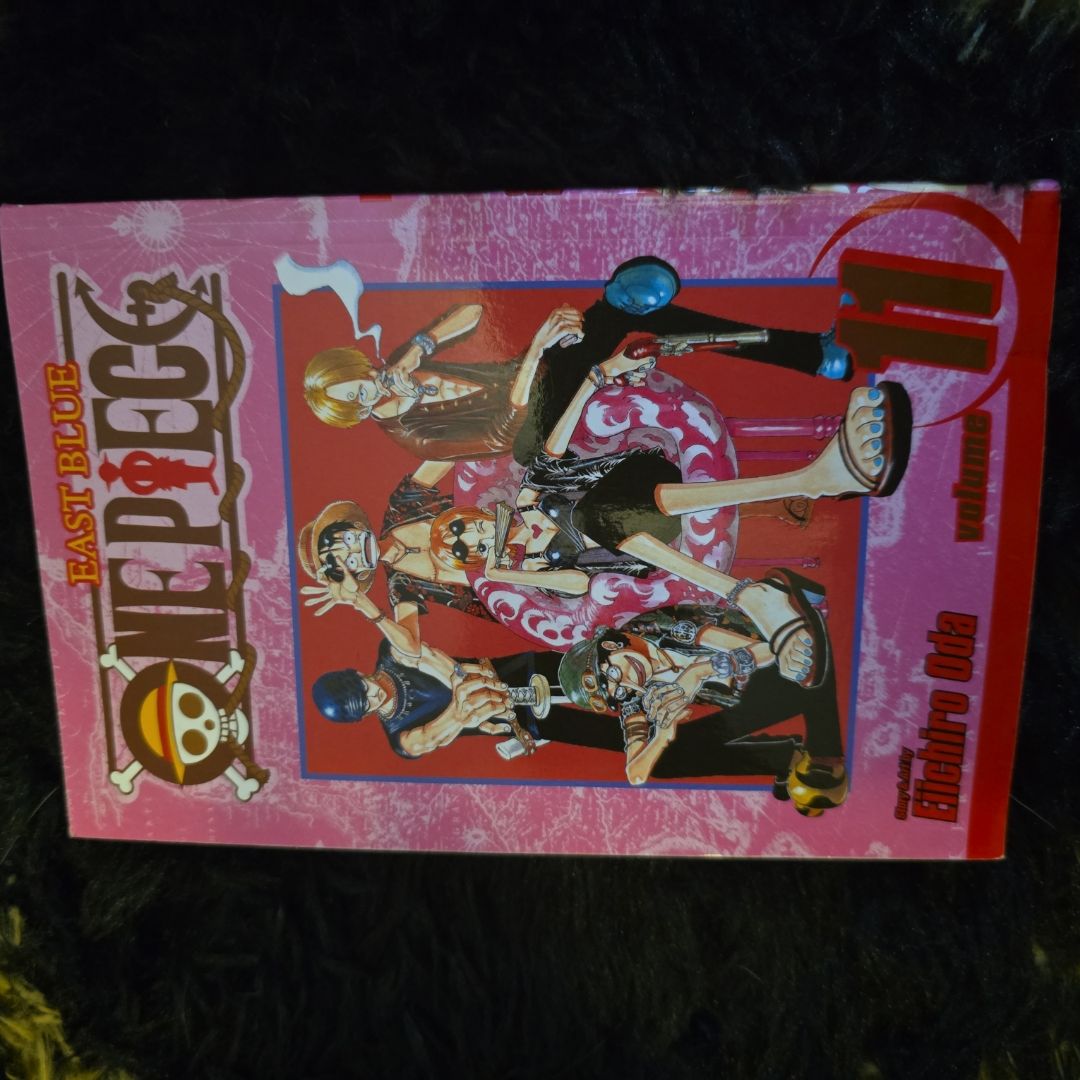 One Piece, Vol. 11