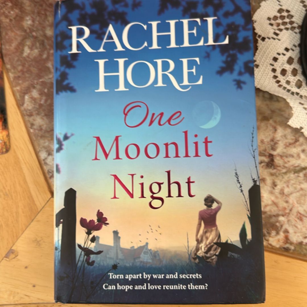 One Moonlit Night