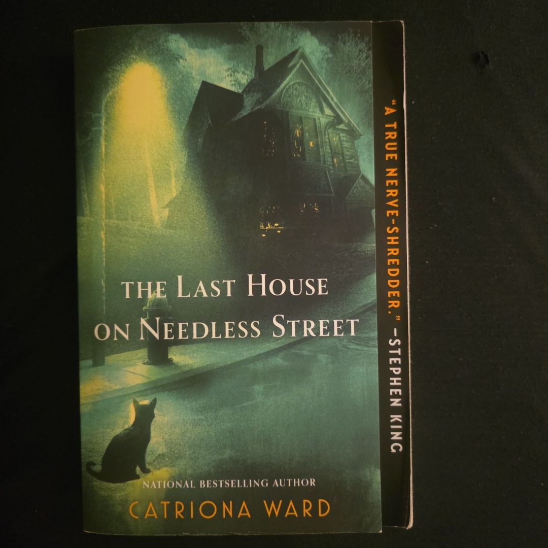 The Last House on Needless Street