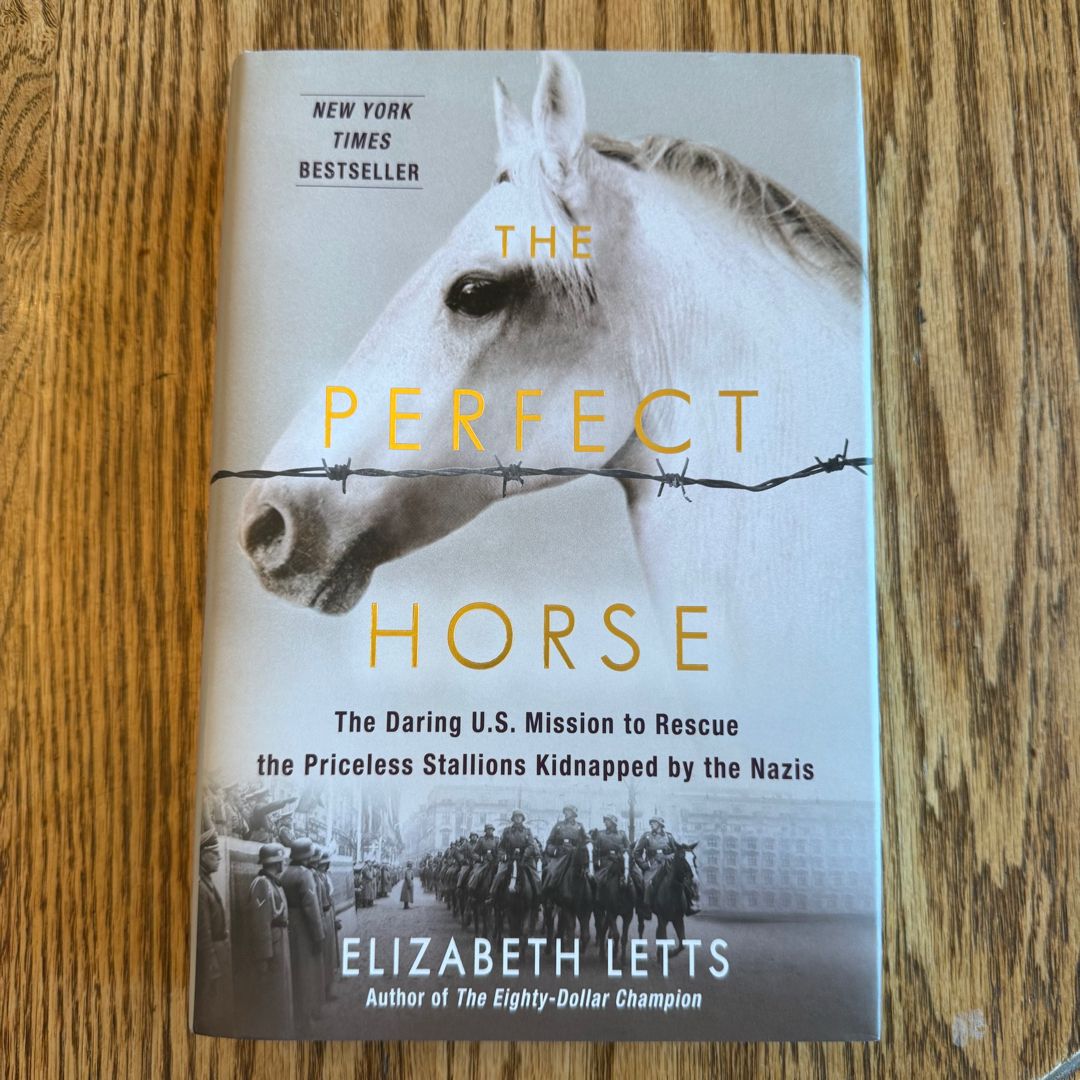 The Perfect Horse