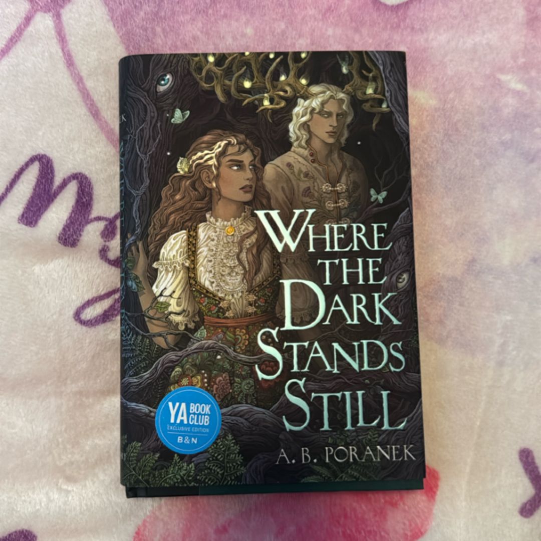 Where The Dark Stands Still