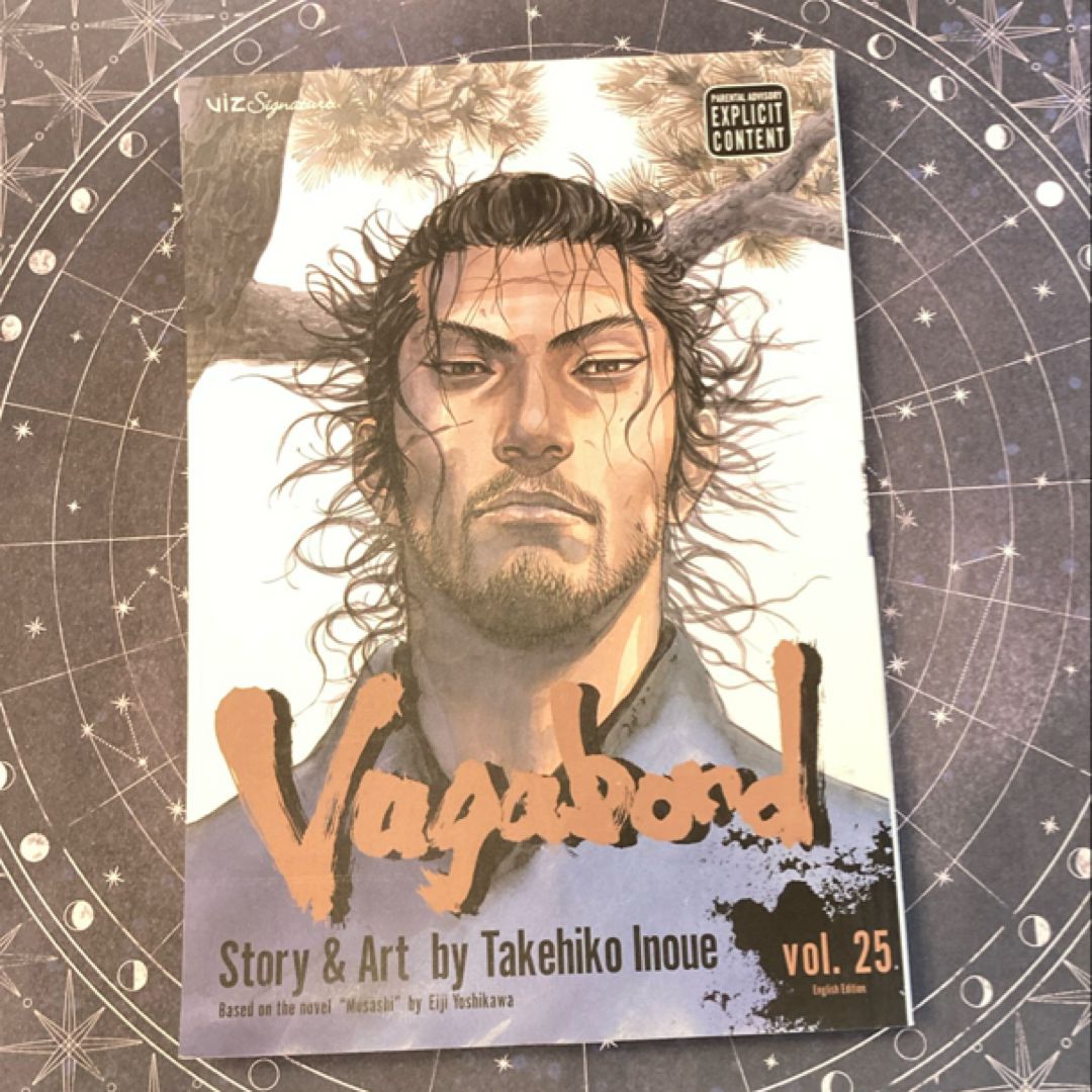 Vagabond, Vol. 25 by Takehiko Inoue