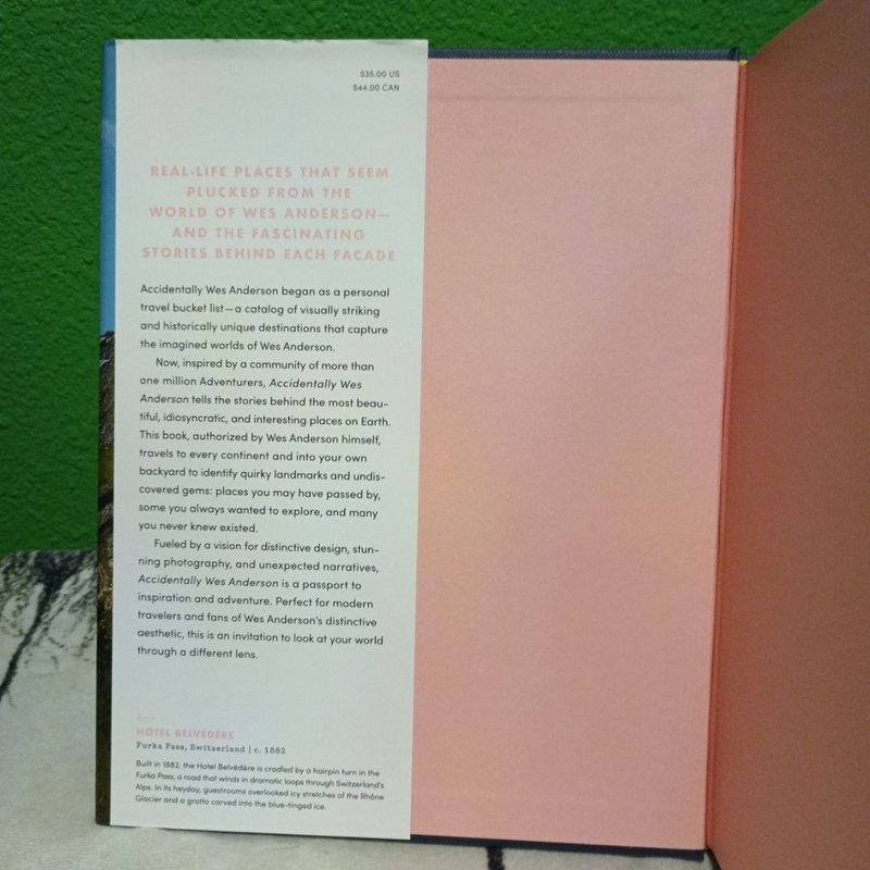 Accidentally Wes Anderson