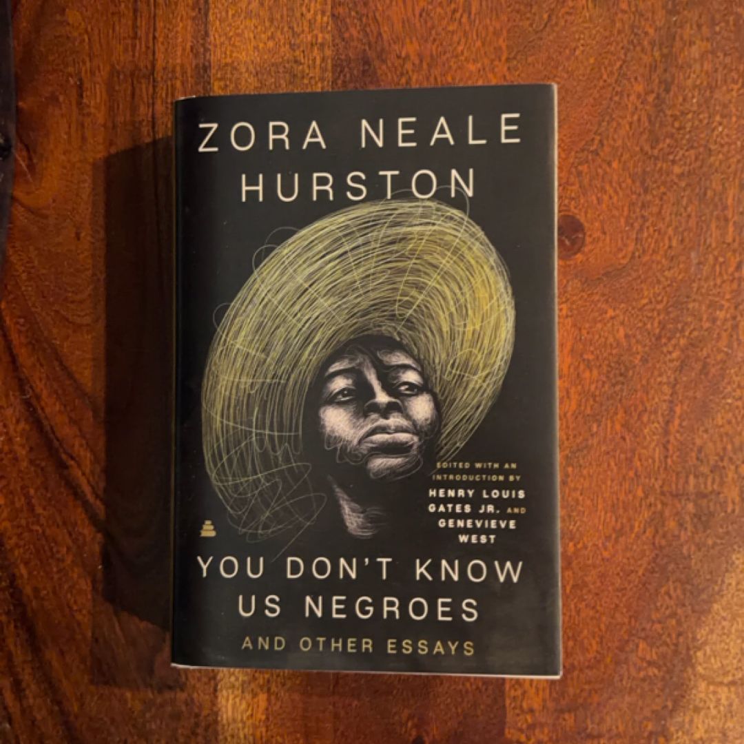 You Don't Know Us Negroes and Other Essays