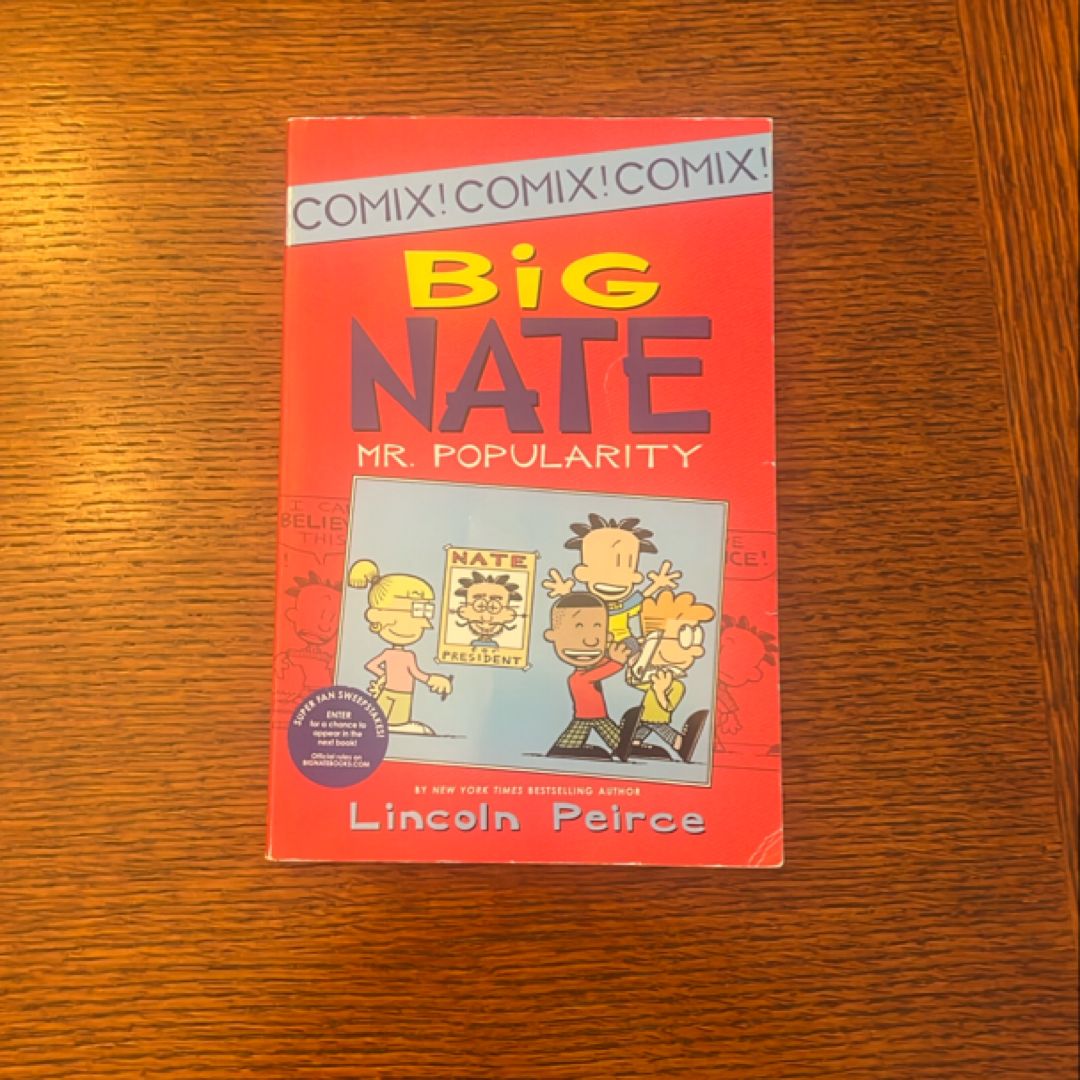 Big Nate: Mr. Popularity