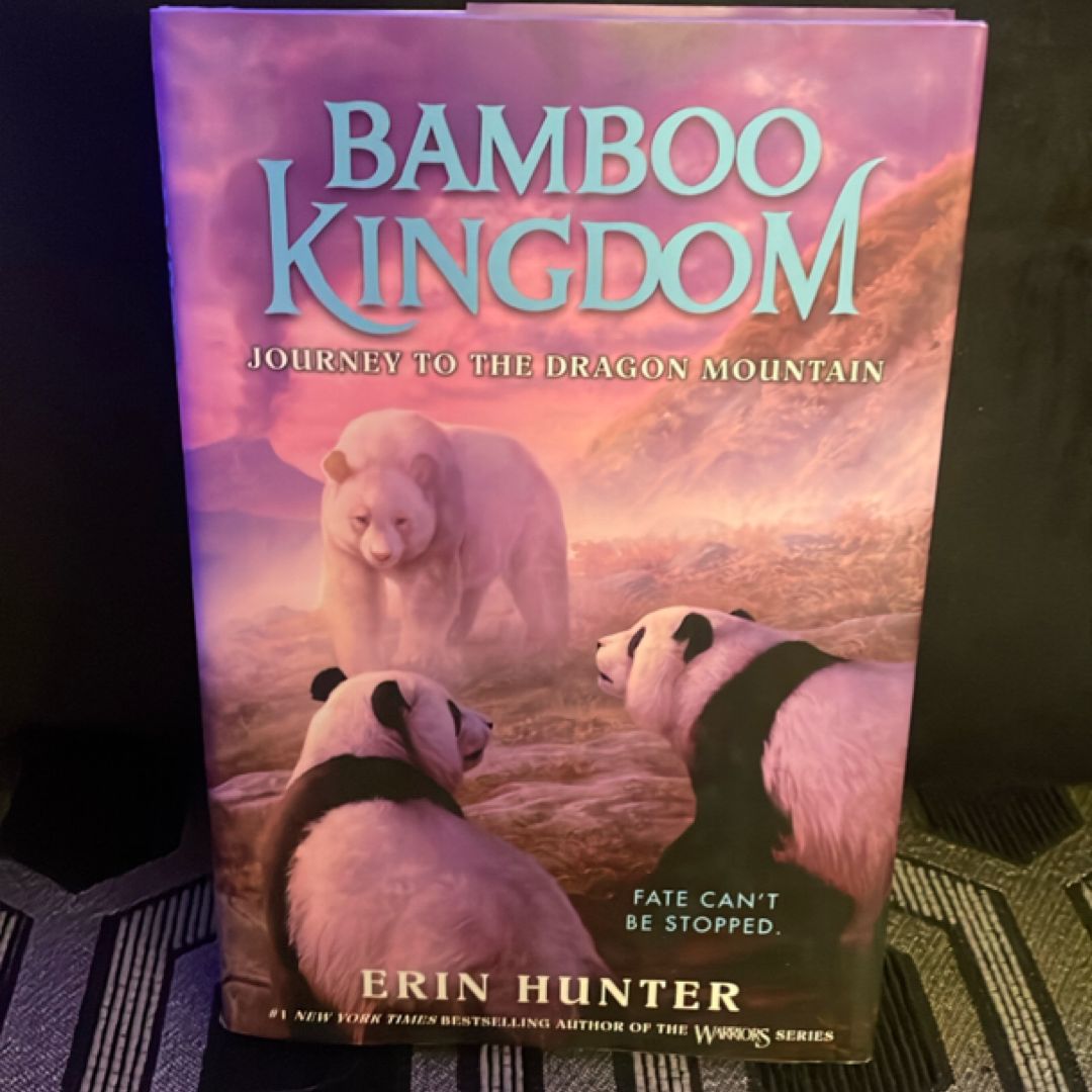 Bamboo Kingdom #3: Journey to the Dragon Mountain